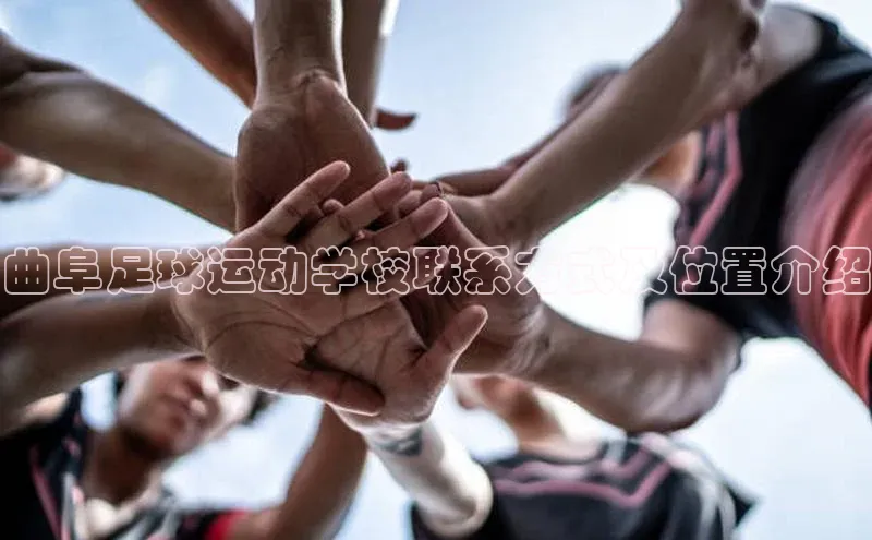 杏福平台开户云创智行